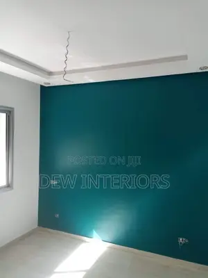 Professional Painting and Skimming