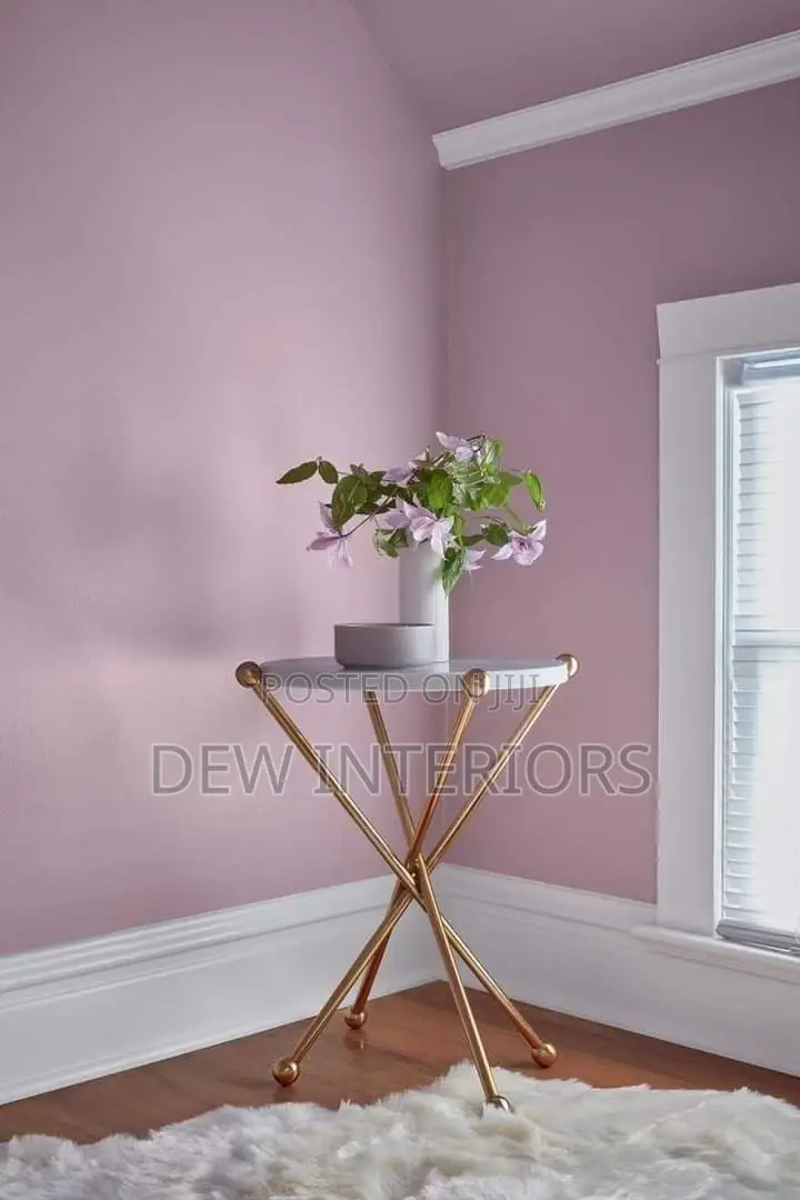 Professional Painting and Skimming