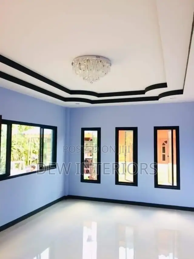 Professional Painting and Skimming