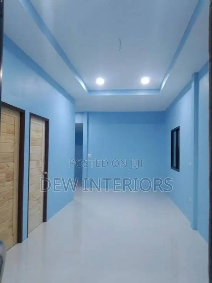 Professional Painting and Skimming