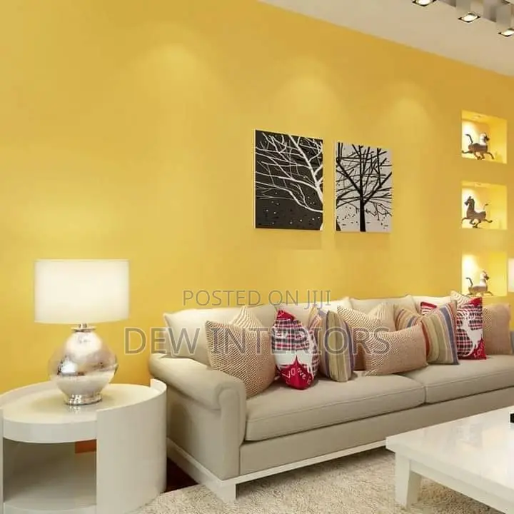 Professional Painting and Skimming