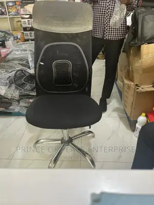 Office Chair or Car Seat Back Support