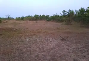 Genuine Estate Lands for Sale