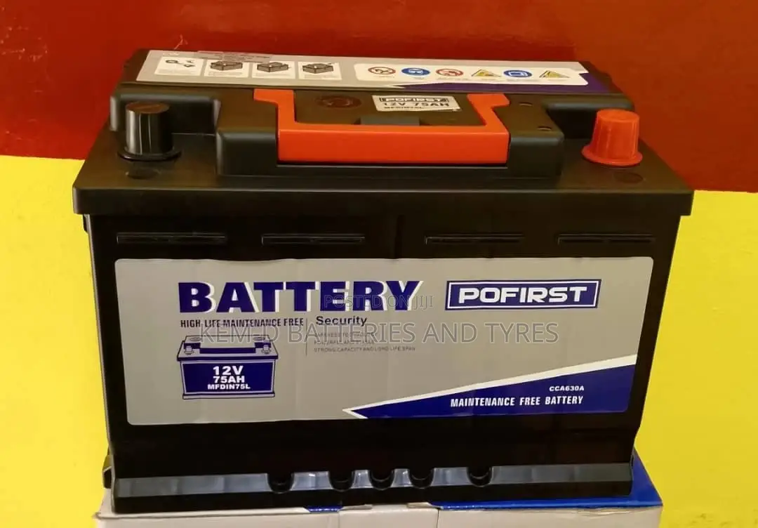 Pofirst Car Battery