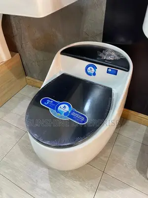Combined Water Closet