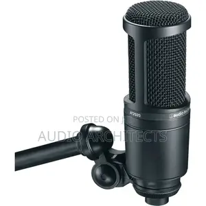 Audio Technica Condenser Microphone (At2020)