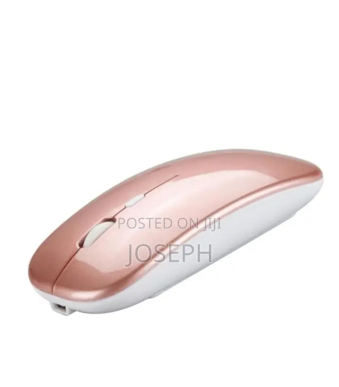 Bluetooth Wireless Mouse Chargeable