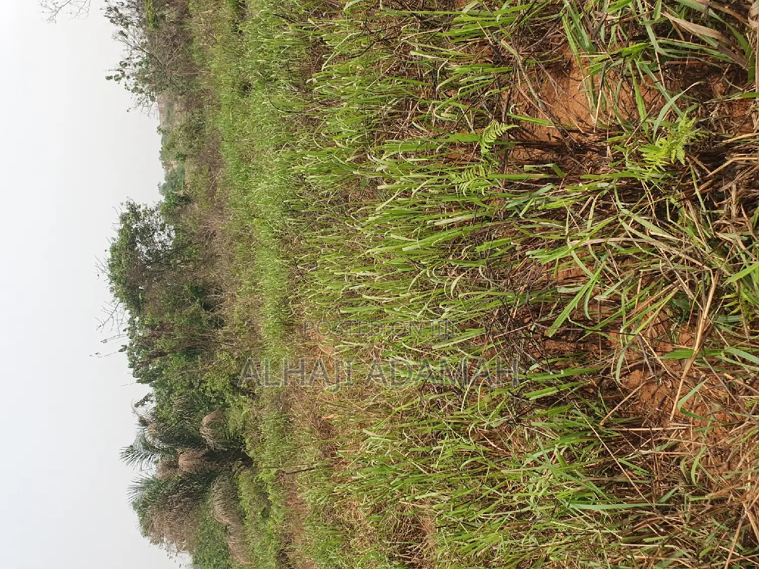 Land for Sale at Brofuyedro Darko