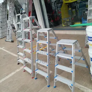 Tera a Step Ladder