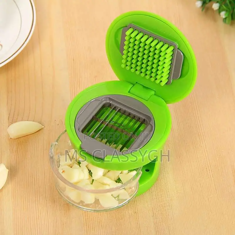 Stainless Steel Manual Garlic Press Household Masher Kitchen