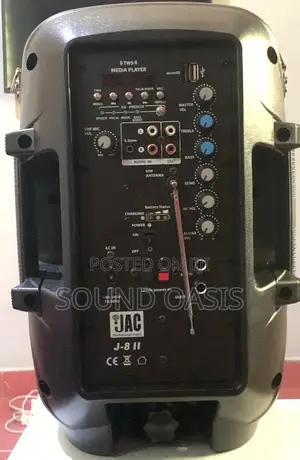 JAC 8 Inch Portable 800 Watts Bluetooth Speaker