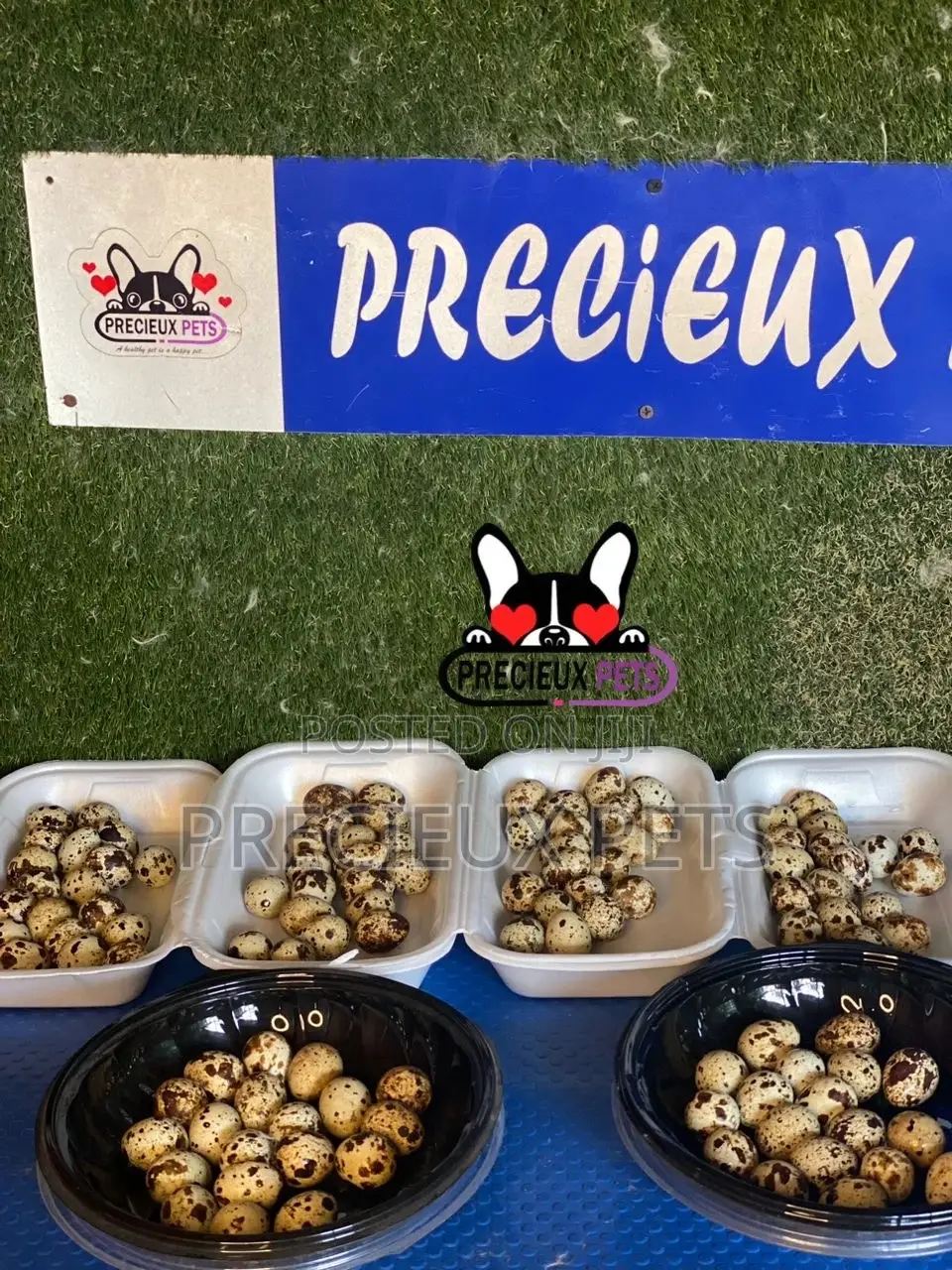 Quails Eggs