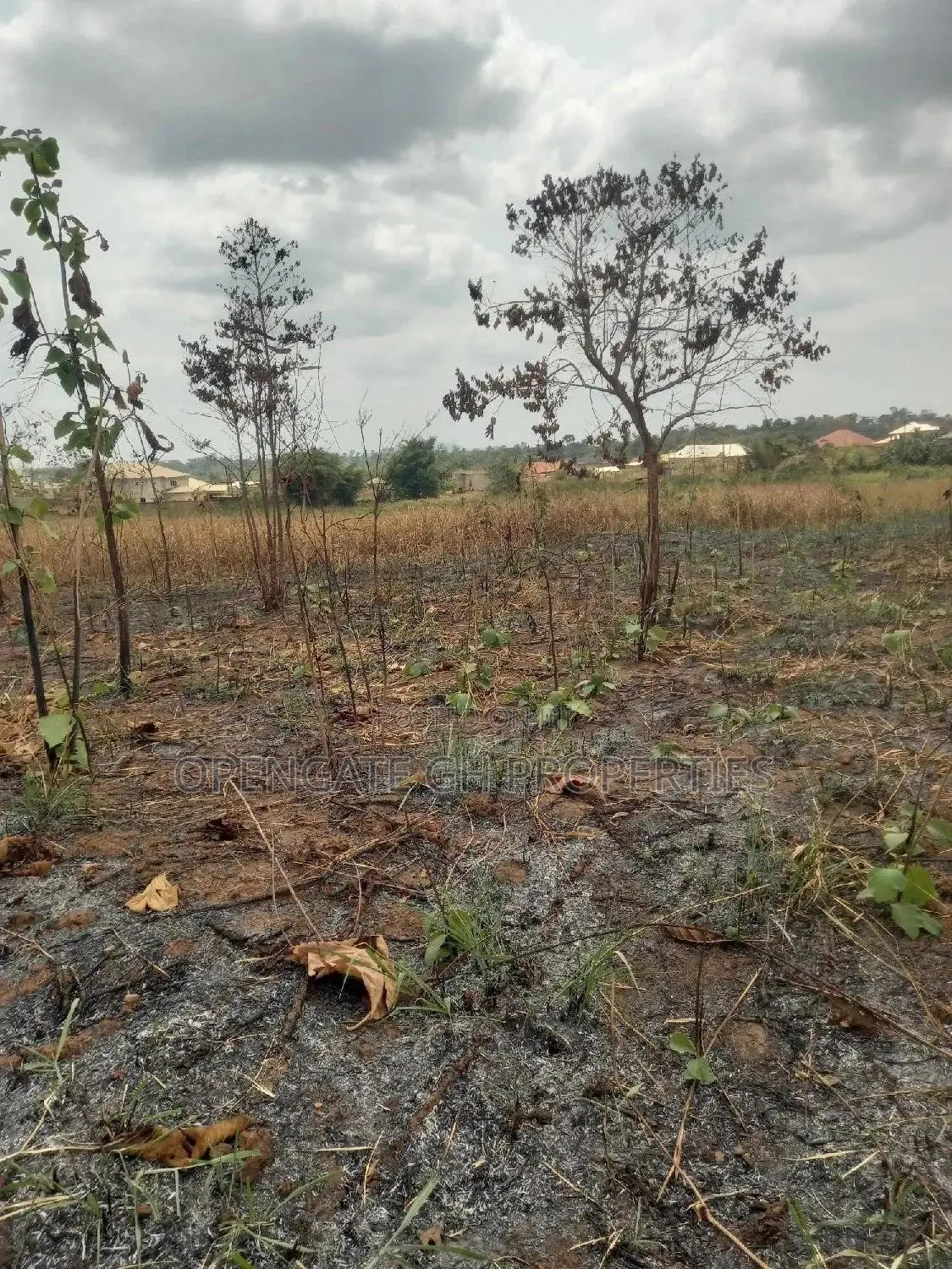 Land on the Main Road