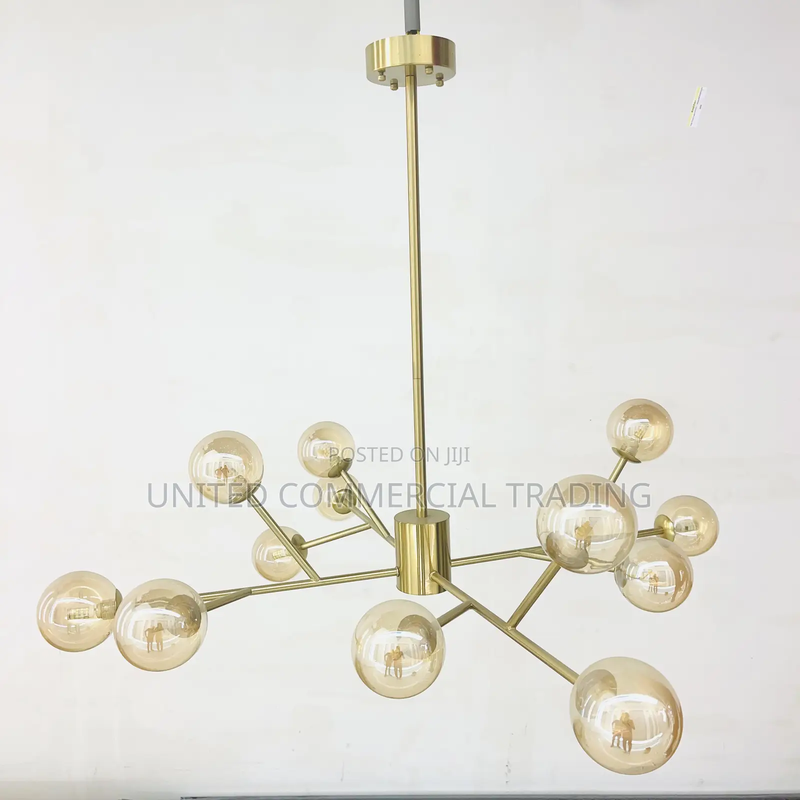 Pendant (12 Head)