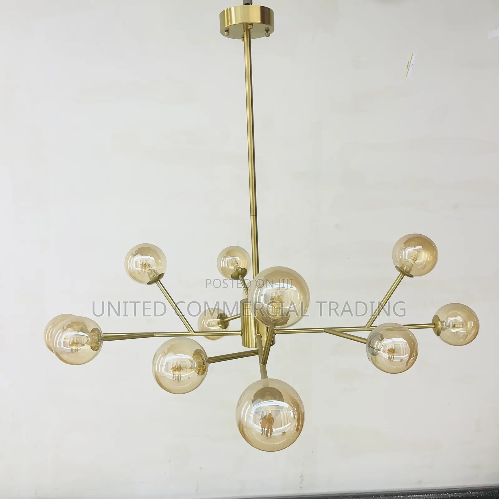 Pendant (12 Head)