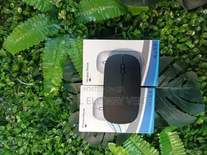 Wireless Mouse