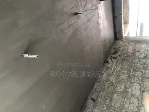 Mason Ceiling Plastering Experts