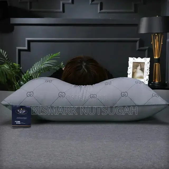 2 in 1 Pillows for Sale