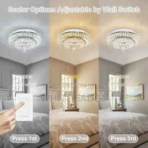 Home /Office Chandelier