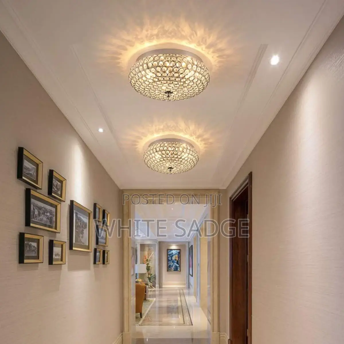 Home /Office Chandelier