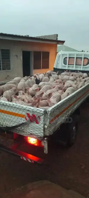 Fresh Pork / Pork Kebab