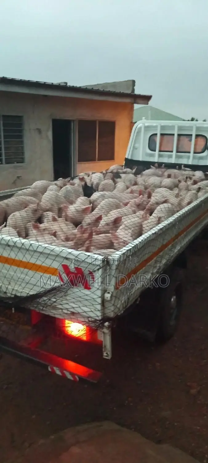 Fresh Pork / Pork Kebab