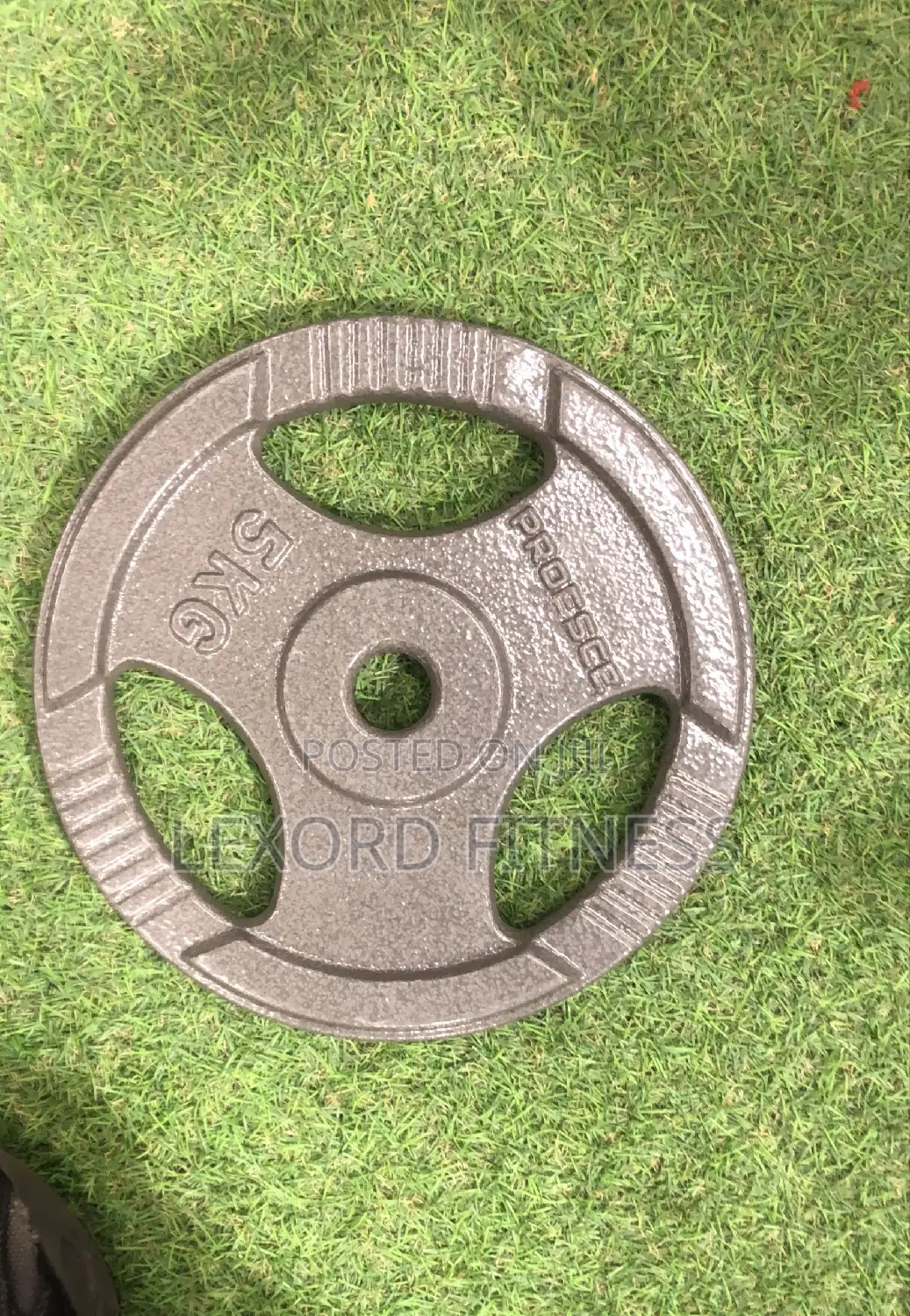 5kg Plate Single