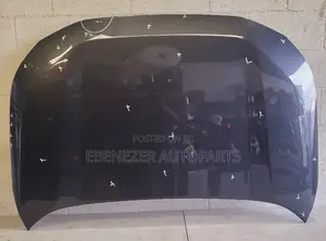 Toyota Rav 4 2019,2020,2021,2022 Bonnet Hood