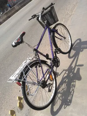 Mountain Carrier Bicycle 26