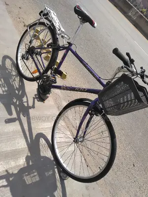 Mountain Carrier Bicycle 26