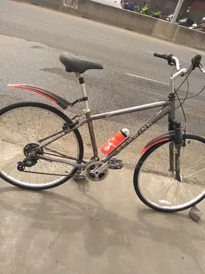 Sporty Bicycle Slim Tyres