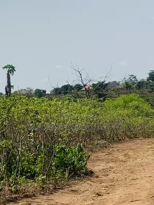 Affordable Land at Sunyani Catholic University Area
