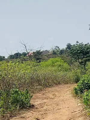 Affordable Land at Sunyani Catholic University Area