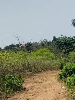Affordable Land at Sunyani Catholic University Area