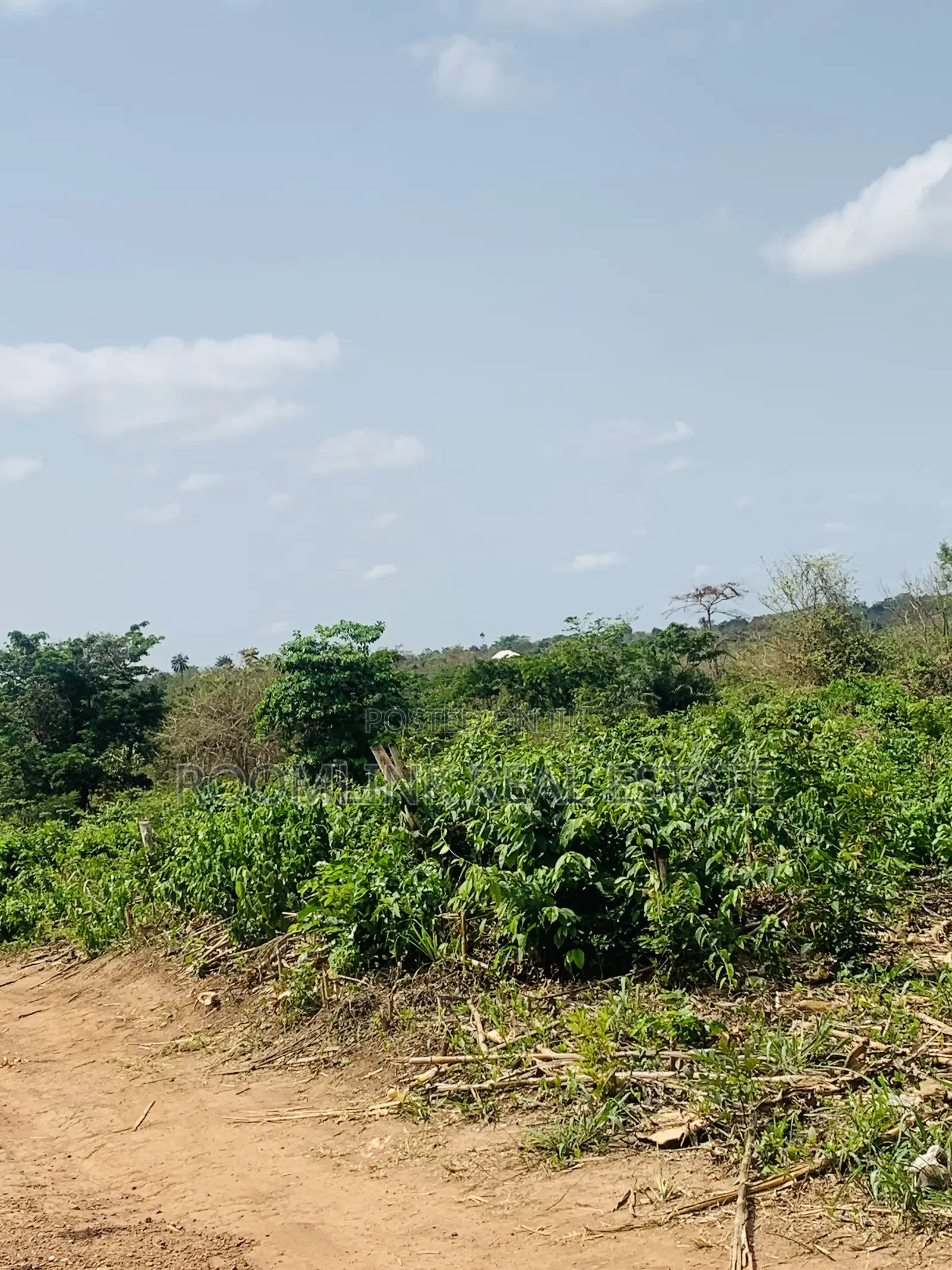 Affordable Land at Sunyani Catholic University Area