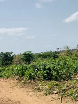 Affordable Land at Sunyani Catholic University Area