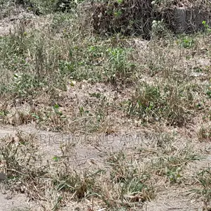 Plot for Sale at Nkroful Phastor