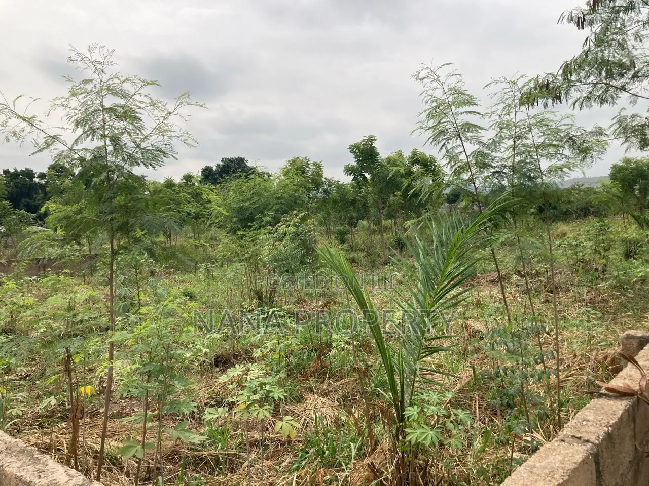 Ten Acres of Land for Sale Located at Velleey View