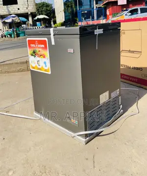 Purchase Original Zara 260s 1 Door Electric Chest Freezer.