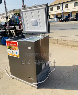 Purchase Quality Zara 260s 1 Door Electric Freezer.