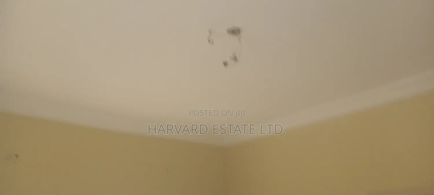 2bdrm Apartment in Tech Apemso Knust, Kumasi Metropolitan for rent
