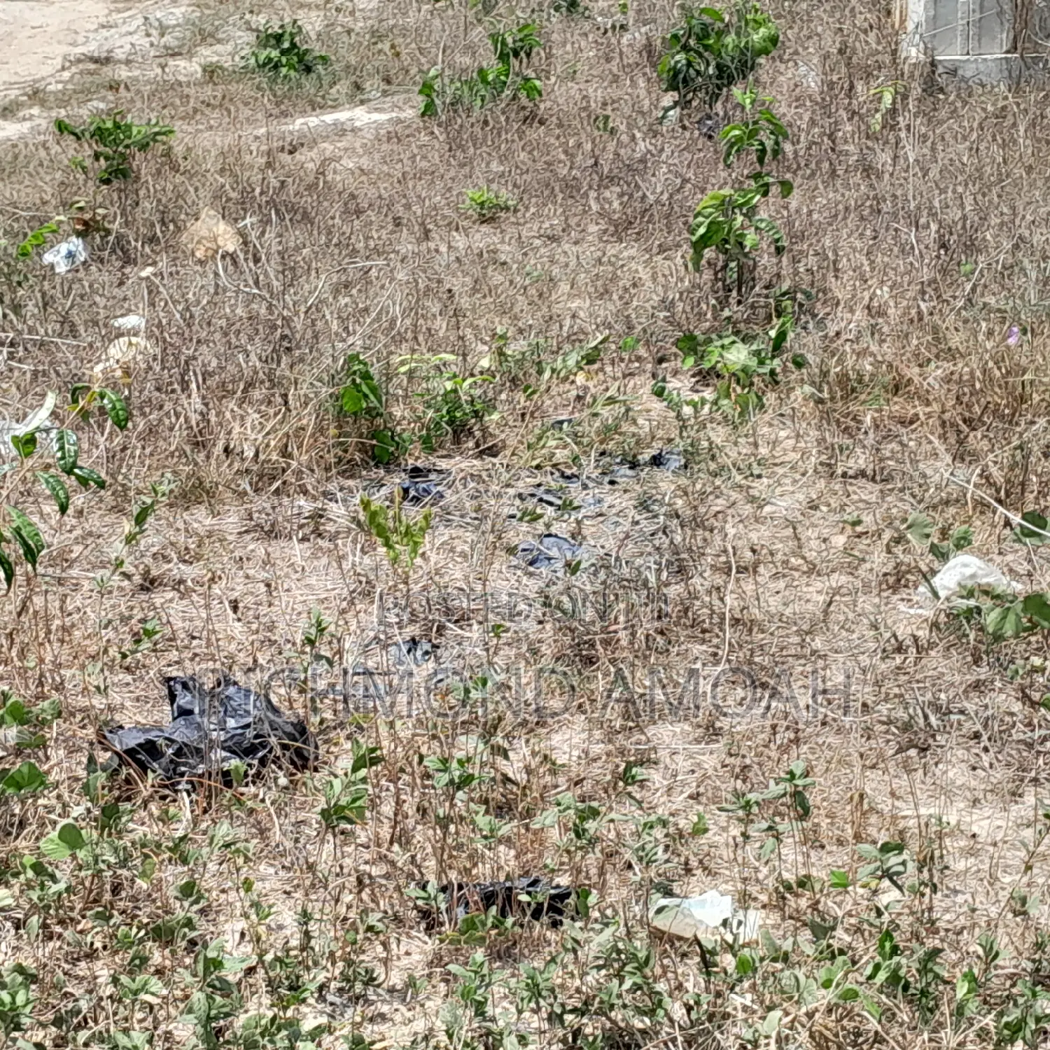 Plot for Sale. At Queen of Peace Inside