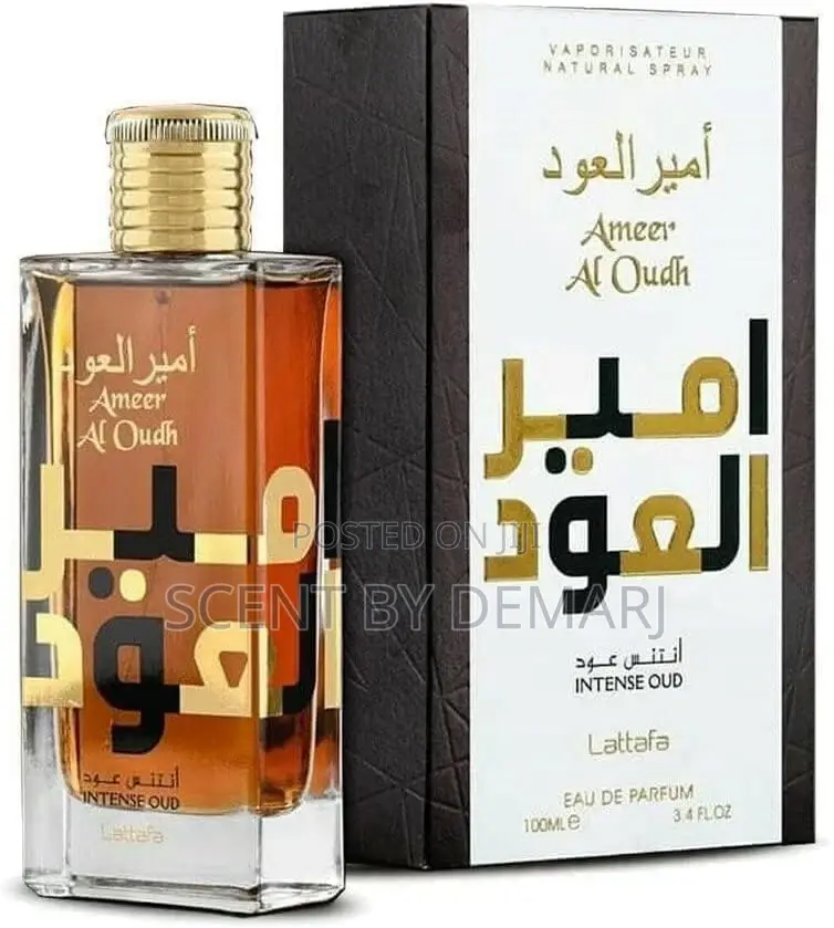Ameer Al Oudh