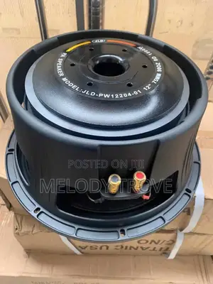 JLD-PW12204-01 12inches Double Magnet 1500W