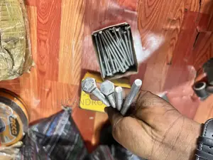 Stainless Steel Bolt / Nut