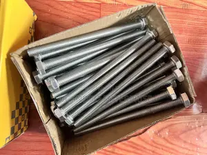 Stainless Steel Bolt / Nut