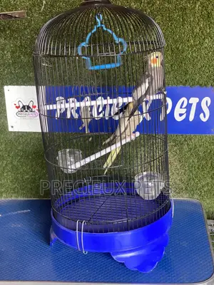 Cockatiel Parakeets Cage Tag 0001