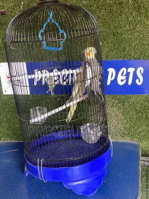 Cockatiel Parakeets Cage Tag 0001