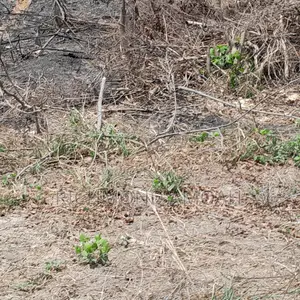 Plot for Sale at Anaji House of Bethel
