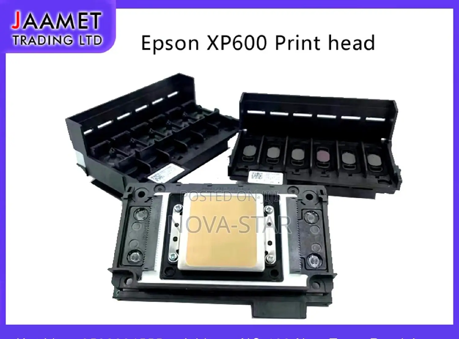 Epson Xp600 Print Head